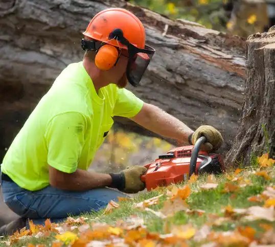 tree services Lake Darby